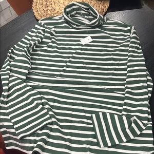 Ann Taylor Green and White Striped Turtleneck Sweater